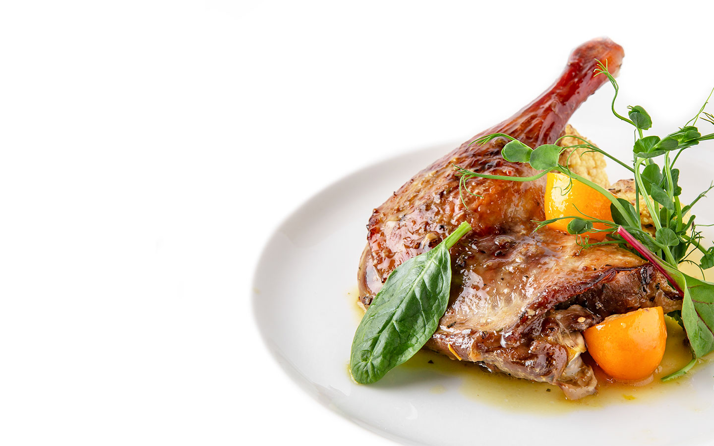 TakeNow Restaurant Delivery
